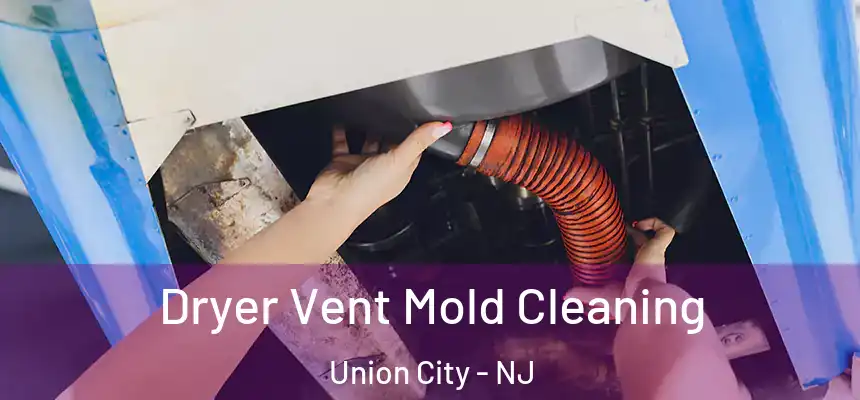 Dryer Vent Mold Cleaning Union City - NJ