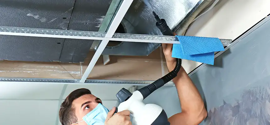 Our Air Duct Rodent Removal Services in Union City, NJ
