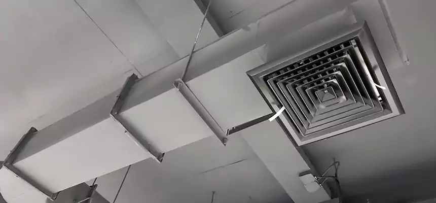 Our Pest Removal From Ducts Services in Union City, NJ