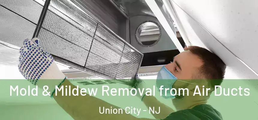  Mold & Mildew Removal from Air Ducts Union City - NJ