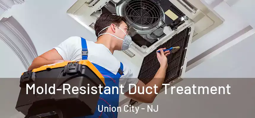  Mold-Resistant Duct Treatment Union City - NJ