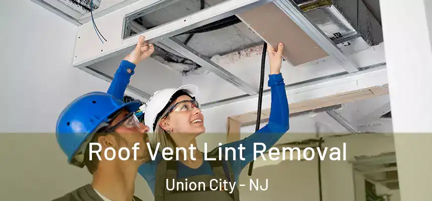  Roof Vent Lint Removal Union City - NJ