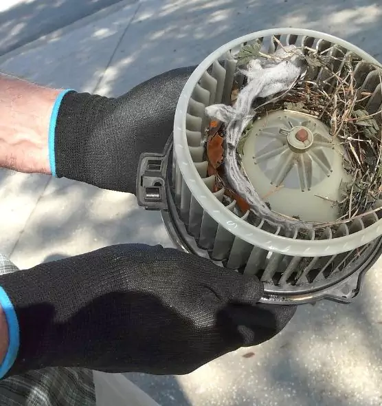 About Air Duct Mice Removal in Union City, NJ