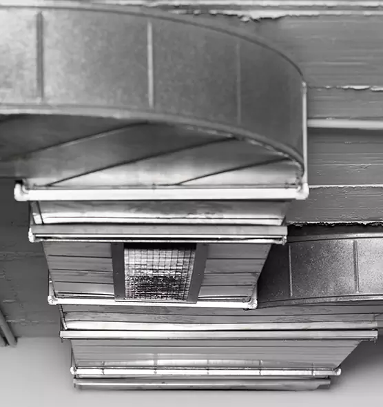 Professional Air Duct Pest Removal in Union City, NJ