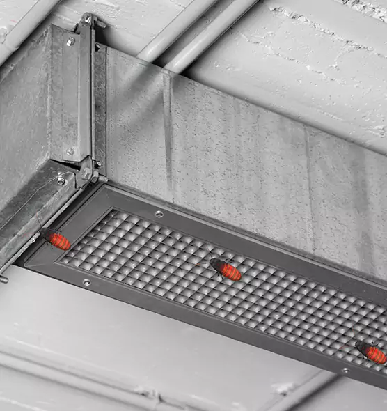 Affordable Insect Removal from Air Ducts in Union City, NJ