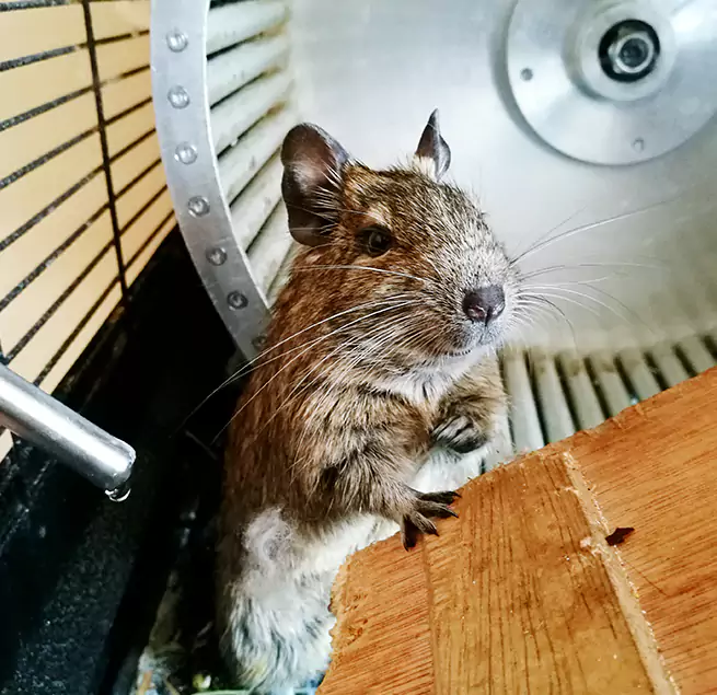 Why Homeowners & Businesses Trust Us Union City, NJ